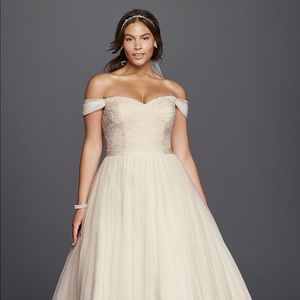 Beaded Plus Size Wedding Dress (David’s Bridal)